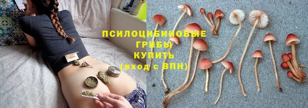 стаф Абинск