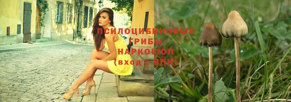 стафф Ладушкин