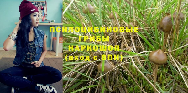 apvp Лагань